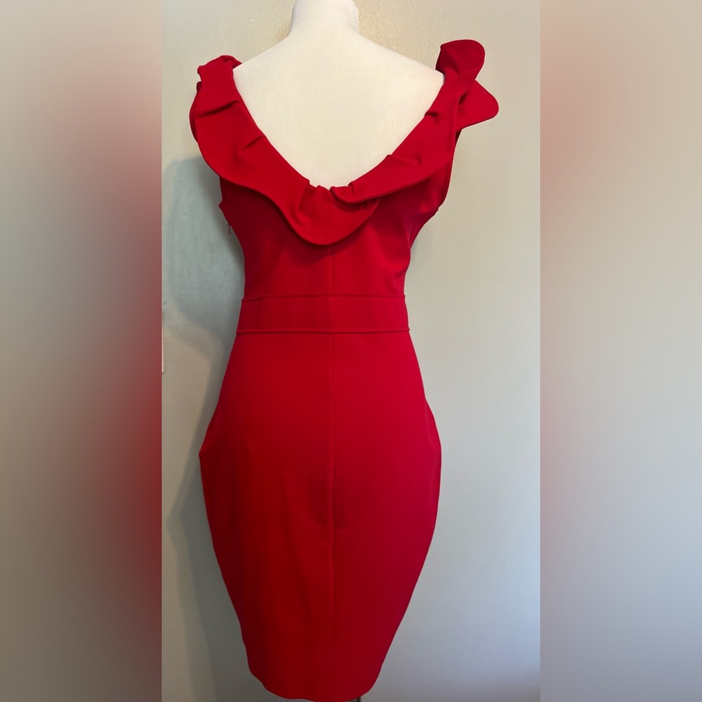 RED Valentino Red Ruffle Dress - Picture 16 of 16